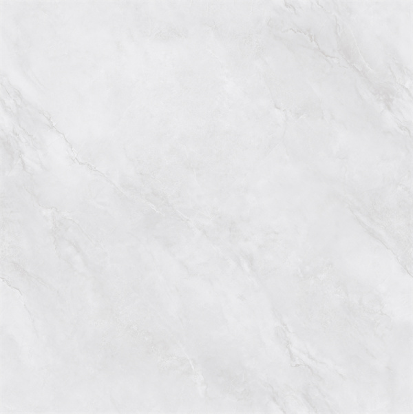 SW88102C